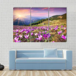 Blossom Of Crocuses Canvas Wall Art