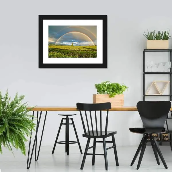 Blueberry Field Under Rainbow Canvas Wall Art
