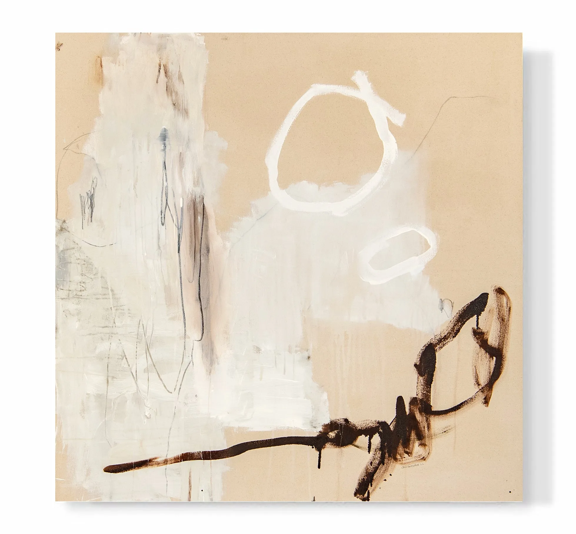 "Driftwood & Sand Dollar #1"
